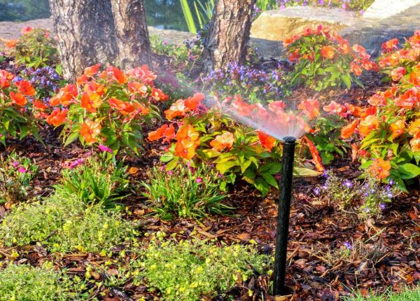 Irrigation Spring Start Ups