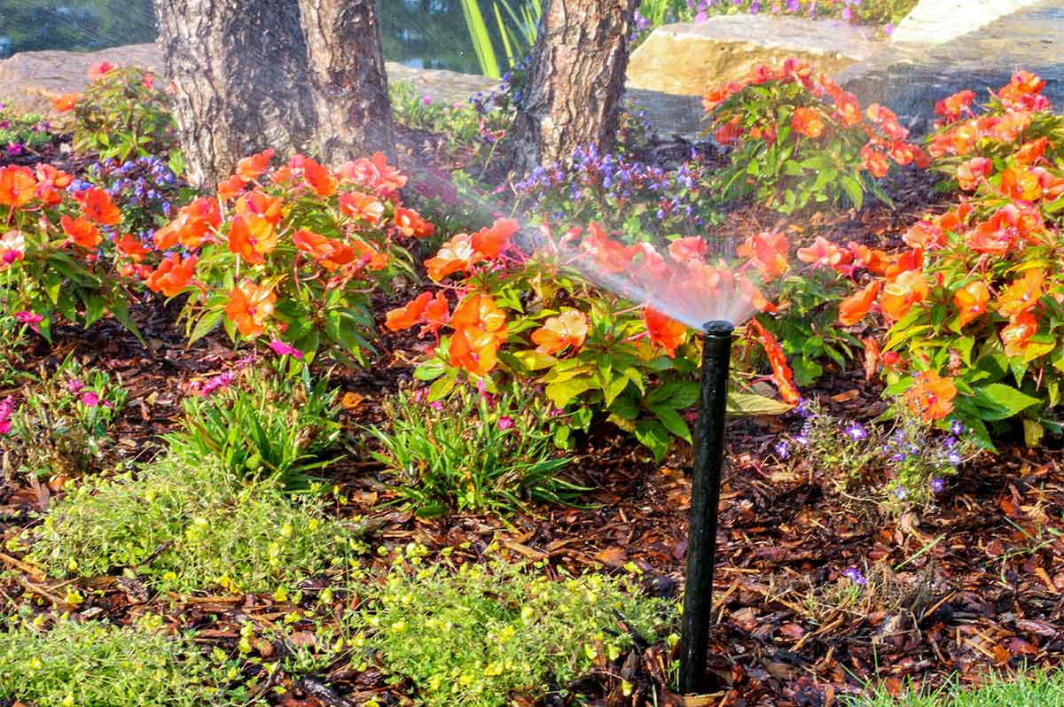 Irrigation Spring Start Ups